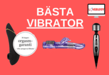 bästa vibrator i test
