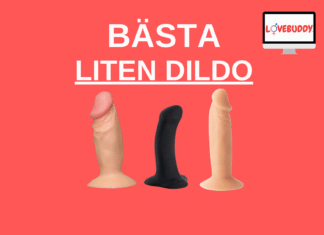 Bäst i test liten dildo