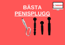 penisplugg