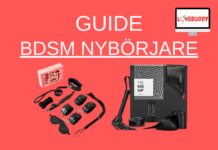 BDSM Nybörjare Guide