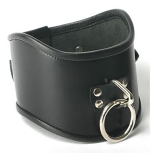 Strict Leather Locking Posture Collar Halsband