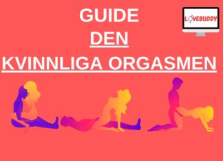 guide till den kvinnliga orgasmen