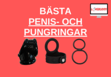 Pungring – De 7 Bästa i Test penis och pungringar