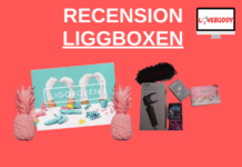 Recension – Liggboxen liggboken recension