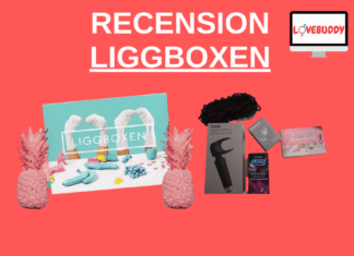 liggboken recension