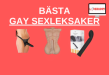 gay sexleksaker