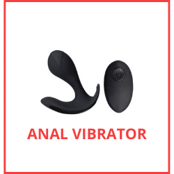 anal vibrator