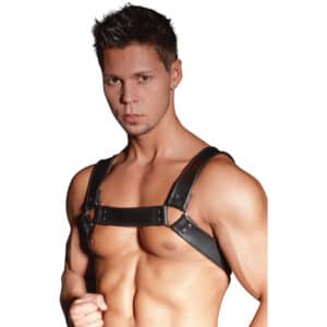 zado leather harness