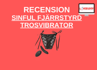 Sinful Uppladdningsbar Fjärrstyrd trosvibrator