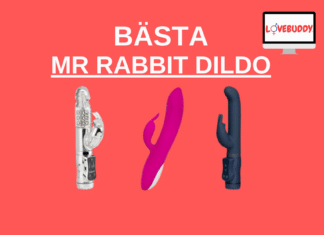 mr rabbit