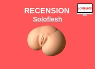 Soloflesh Recension