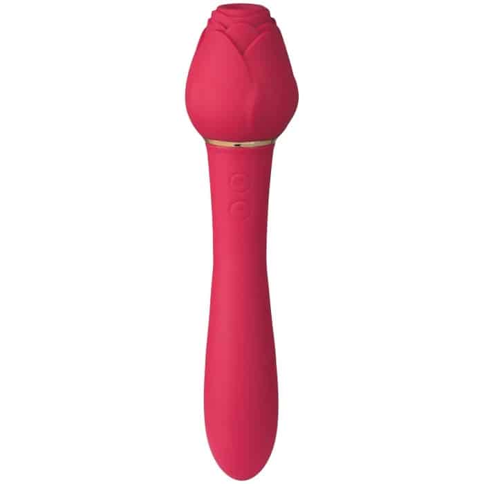 Tracy's Dog Rose Wand och Lufttryckvibrator