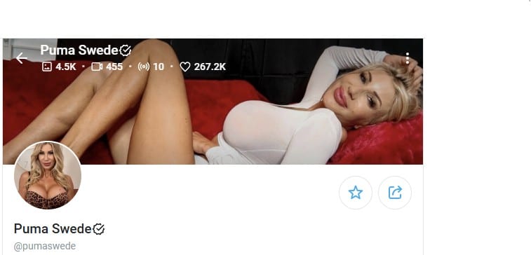 Puma Swede