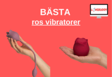 Ros Vibrator - Bäst i Test