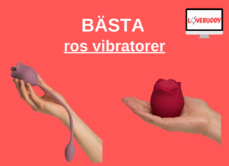 Ros Vibrator - Bäst i Test